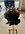 IMG_7692.jpeg