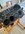 IMG_7695.jpeg