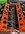 IMG_0366.jpeg