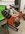 IMG_8585.jpeg