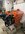 IMG_9176.jpeg