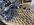 IMG_4993.jpeg