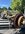 IMG_1990.jpeg