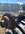 IMG_1989.jpeg