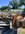 IMG_1991.jpeg