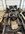 IMG_4177.jpeg