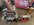 IMG_9270.jpeg