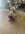 IMG_9272.jpeg