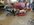 IMG_9273.jpeg
