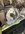 IMG_9257.jpeg