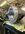 IMG_9258.jpeg