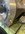 IMG_9260.jpeg