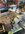 IMG_9261.jpeg