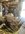 IMG_9262.jpeg