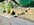IMG_0157.jpeg