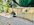 IMG_0158.jpeg