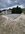 IMG_6487.jpeg