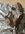IMG_7915.jpeg