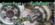 1729800612472.png
