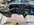 IMG_0185.jpeg
