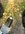 IMG_2282.jpeg