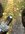 IMG_2281.jpeg
