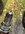IMG_2278.jpeg