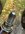 IMG_2277.jpeg