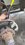 IMG_5770.jpeg