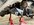 IMG_0214.jpeg