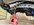 IMG_0216.jpeg