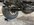 IMG_0239.jpeg