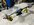 IMG_0252.jpeg