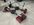 IMG_0266.jpeg