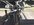 IMG_0281.jpeg