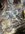 IMG_3264.jpeg