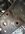 IMG_3282.jpeg