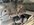 IMG_3283.jpeg