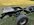 IMG_4837.jpeg
