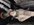 IMG_0419.jpeg