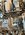 IMG_5108.jpeg
