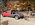 IMG_7859.jpeg