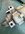 IMG_5114.jpeg