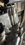 IMG_1581.jpeg