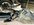 IMG_0446.jpeg