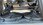 IMG_1603.jpeg