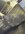 IMG_1608.jpeg