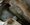 IMG_1609.jpeg