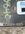 IMG_4947.jpeg