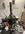 IMG_1979.jpeg